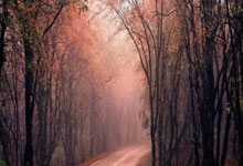 建材团购活动策划方案免费范文,建材团购活动主题图片