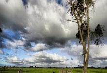 装修网站排行榜前十名,著名装修网站