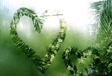 抖音怎么挂团购链接才有佣金,怎么在抖音挂团购链接