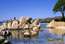 婚庆团购平台哪个好用,婚庆团队价格